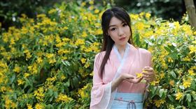 ▲黃花閨女（圖／翻攝自百度百科）