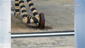 金門班機遭蜂群包圍！航站灑水驅除蜂群　捕蜂專家：錯誤行為