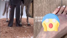 許允樂。（圖／翻攝自臉書）