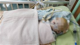 家屬,男嬰,保母,高雄,虐待