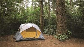 露營，帳篷，戶外，森林，大自然（示意圖／翻攝自unsplash）