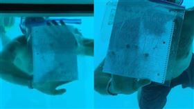 美國一對交往多年的情侶，2019年一起到非洲坦尚尼亞度假，沒想到男友史蒂文（Steven Weber）在水下向女友凱內莎（Kenesha Antoine）求婚後意外溺水身亡。（圖／翻攝自Kenesha Antoine臉書）