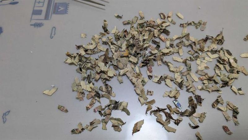 鈔票扔碎紙機　他3周「序號+顏色」神還原
