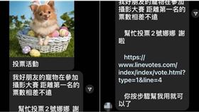 近期不少人收到親友私訊，要求幫忙寵物投票，小心恐是詐騙訊息。（圖／翻攝自臉書）