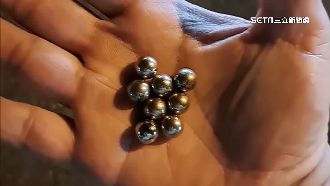 驚！遊墾丁大街遭鋼珠射擊　主委：打到腿