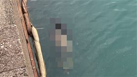 核二廠,出水口,浮屍,綑綁,塑膠袋,雙腳，圖／翻攝畫面