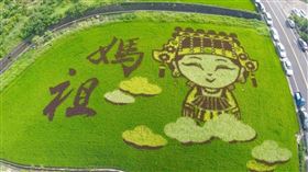 ▲媽祖形象稻田彩繪（圖／翻攝自苑裡鎮農會粉絲專頁）