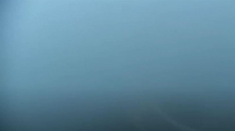 石門水庫下雨了　網線上祈雨喊：多下一點