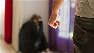 影射涉家暴藍營大咖　名嘴：高尚了什麼？