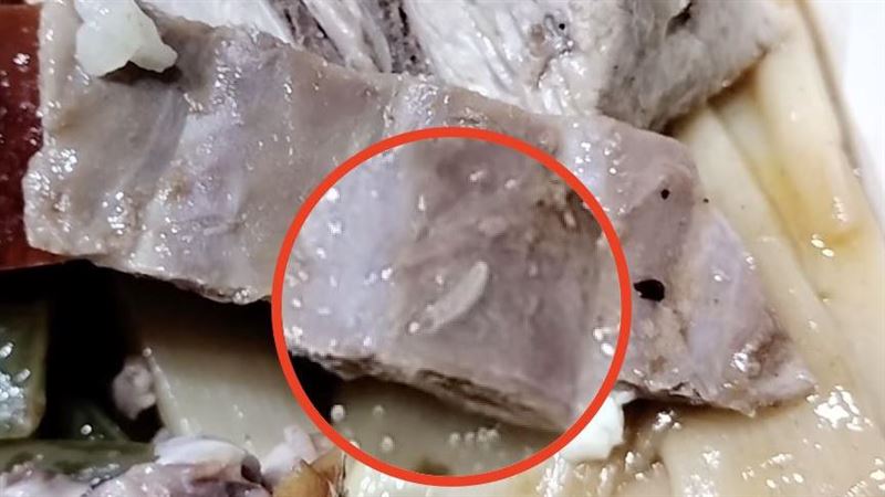 桃園燒臘便當「蛆在爬」他嚇壞：看就飽
