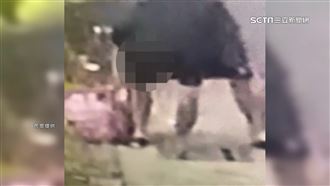 離譜男把2大包垃圾塞水溝　環保局將開罰