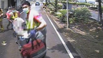 分隔島整理花木遭撞！男倒臥快車道又被撞