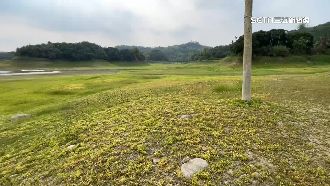 枯水期秘境！見仁義潭「內甕村瓦厝聚落」