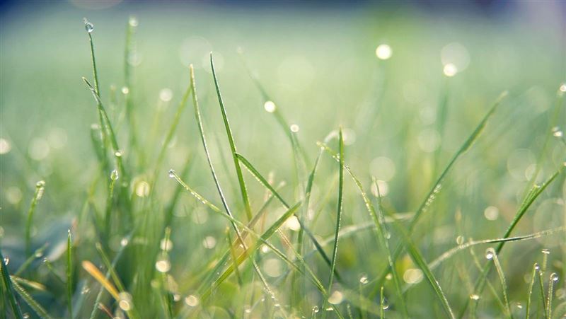 明穀雨！7生肖「好運爆發」有望升官發財