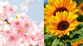 ▲穀雨象徵春天結束、夏天來臨（圖／CANVA製作）