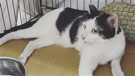 歐膩,天王星,康老師,地震（圖／翻攝自IG）