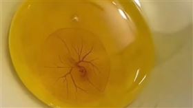 蛋黃內有「小心臟跳動」(圖/翻攝自爆廢1公社)
