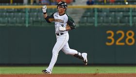 「台鋼大王」王柏融8局下開轟，敲出返台後第2發全壘打。（圖／台鋼雄鷹提供）