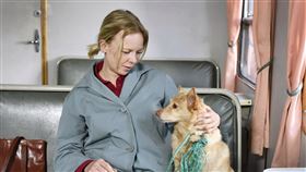 《落葉》阿爾瑪波伊斯蒂的愛犬「卓別林」是導演阿基的愛犬，象徵阿基對往日情懷的美好嚮往 。（圖／海鵬提供）