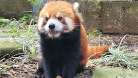 圖／動物園提供