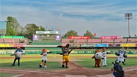 頑皮世界動物園,中華職棒,開球,花蓮,台南,移師