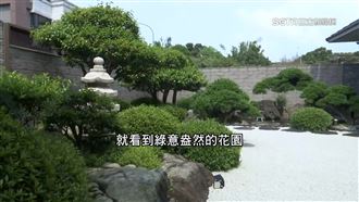 百萬老樹成豪宅指標　一棵羅漢松比跑車貴