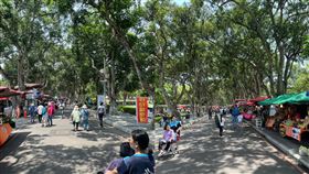 謝金河逛了古坑綠色隧道。（圖／翻攝自謝金河 臉書） 