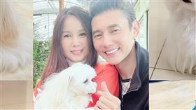 包偉銘（圖／翻攝自臉書）