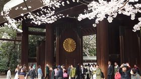 平成最後賞櫻　靖國神社遊客多日皇明仁4月30日退位，目前年號「平成」的時代將結束，所以這波櫻花季被稱為「平成最後花見（賞櫻）」。與皇室有關的符號，像是菊花紋受注目。圖為靖國神社的大門。中央社記者楊明珠東京攝　108年3月29日