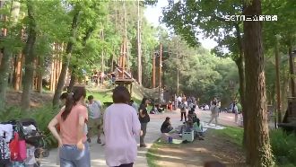 爆量8000人潮突湧東勢林場　全為賞螢火蟲