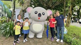 福容認養芙蓉！福容大飯店推動無尾熊保育繁殖（業配勿用）