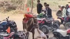 ▲河南一名男在馬場騎馬，結果發生意外死亡。（圖／翻攝自微博）