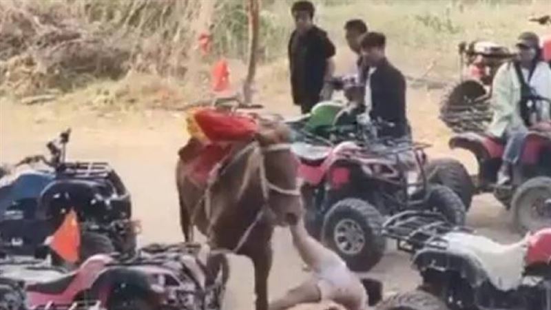 8歲童騎馬出意外！「頭朝下拖地」慘死…