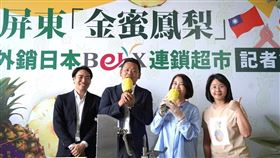 屏東鳳梨「金蜜鳳梨」