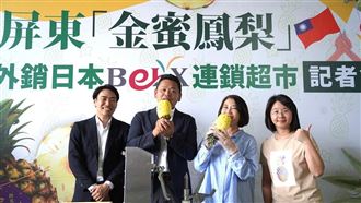 「旺」到東京！屏金蜜鳳梨銷日產值衝2億