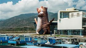 今夏最療癒展覽！巨大化貓咪與狗狗登陸屏東海口新地標（圖／翻攝自台灣旅行趣）