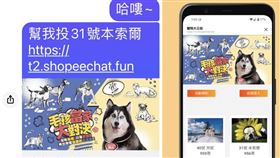 圖／翻攝自Mｙｇｏｐｅｎ