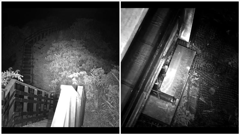 被連續地震KO！花蓮「鏡頭君」陣亡畫面曝