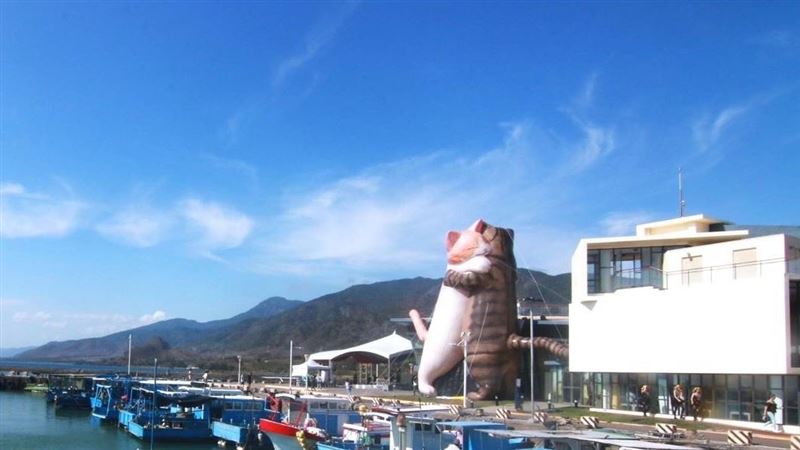 屏東看海美術館迎來日本最萌貓狗展