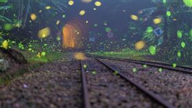 夏季限定！嘉義精選賞螢秘境　體驗閃耀夢幻螢光派對（圖／翻攝自台灣旅行趣）