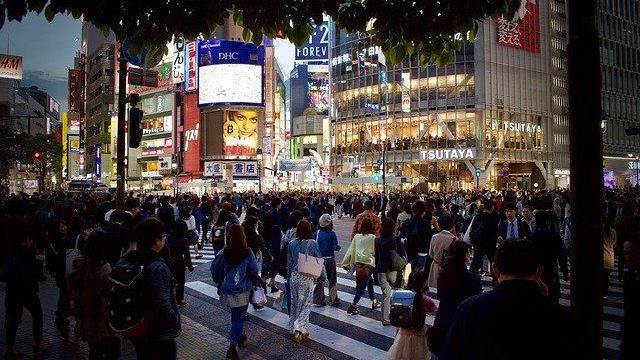 這球鞋銷量飆600％　網：日本走1周都不痛