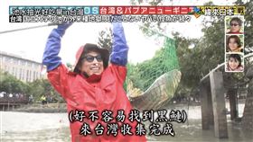 日本,東京電視台,池水抽光好吃驚,田村淳,小淳,中興大學,中興湖,外來種,加藤英明,生物