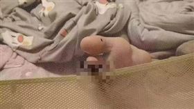 網友PO出驚悚照片，一大群蚊子緊貼蚊帳的破洞叮咬腳趾。（圖／翻攝自爆廢1公社臉書）