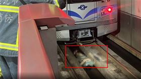 捷運,落軌,民權西路站,信義線,