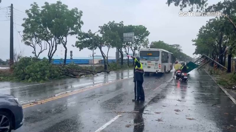 高雄狂風雨炸路樹倒一排　民眾：如颱風天