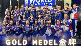 苗栗特教學校啦啦隊赴美參賽奪金牌。（圖／翻攝自tpe_cheer IG）