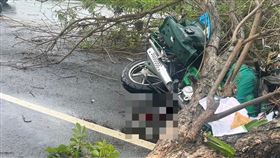 彰化，芬園，大雨導致樹倒，砸中郵差，失去呼吸心跳，命危搶救(圖／翻攝畫面)