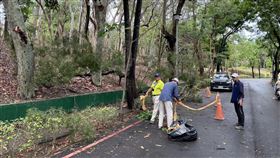 高雄大雨  民眾路過澄清湖步道遭路樹壓傷送醫高雄26日上午降下大雨，李姓民眾徒步行經澄清湖園區步道遭倒塌路樹壓傷，警方到場拉起封鎖線協助處理。（高雄市仁武警分局提供）中央社記者洪學廣傳真  113年4月26日