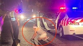 酒駕女國道逆向狂飆！遭警攔截突下跪求饒