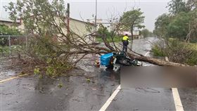 彰化48歲孫姓郵差，冒雨送信遇死劫　「差1秒躲過」遭路樹重砸慘亡(圖／翻攝畫面)